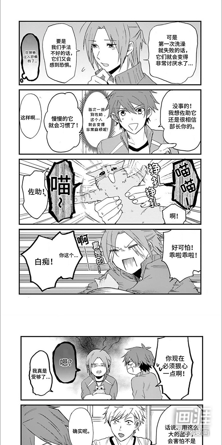 三花猫猫部第13话图