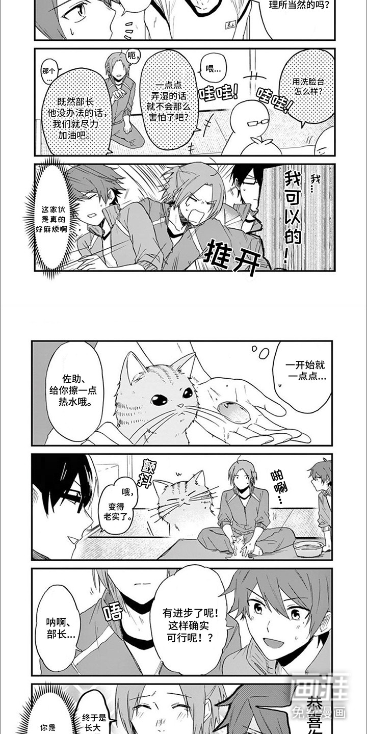 三花猫猫部第13话图