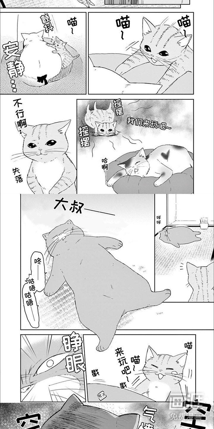 三花猫猫部第14话图