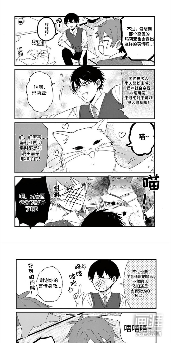 三花猫猫部第16话图