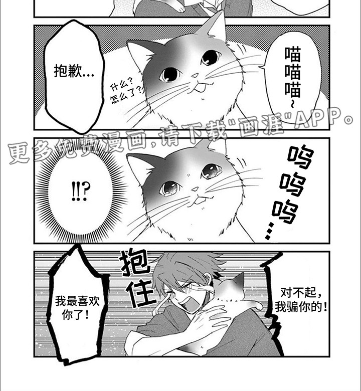 三花猫猫部第16话图