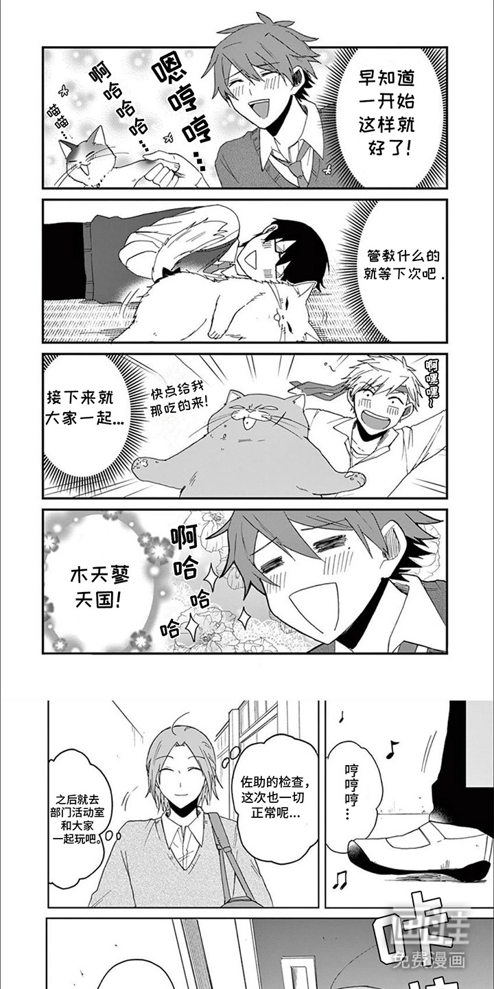 三花猫猫部第17话图