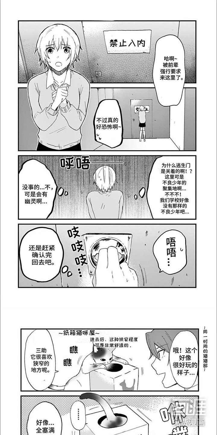 三花猫猫部第18话图