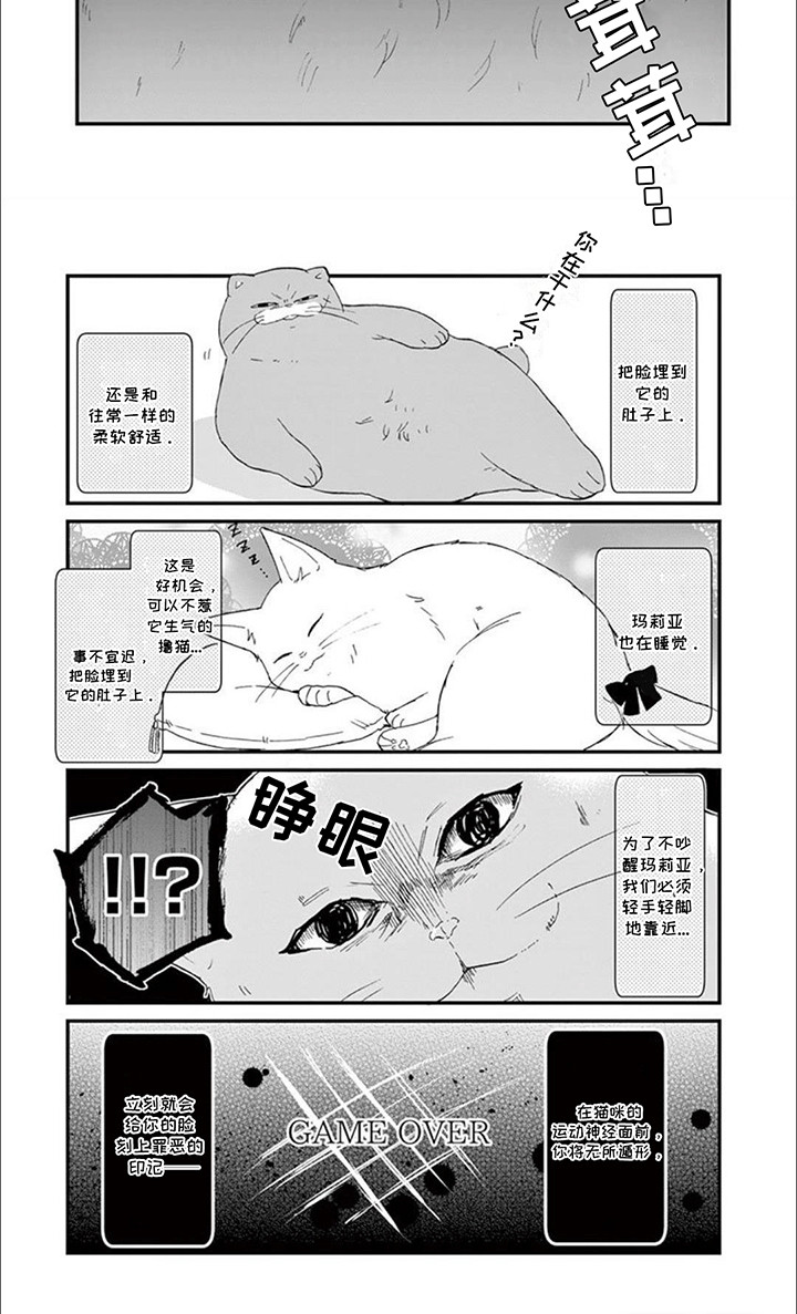 三花猫猫部第19话图