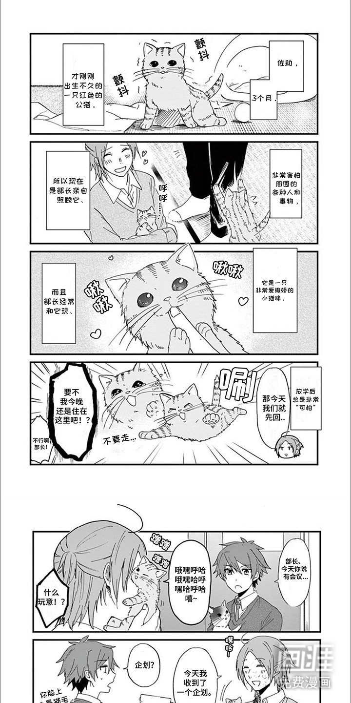 三花猫猫部第2话图