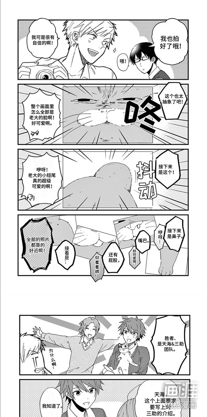 三花猫猫部第3话图