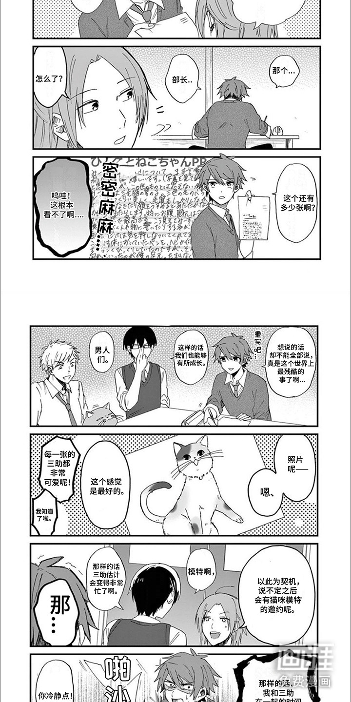 三花猫猫部第3话图