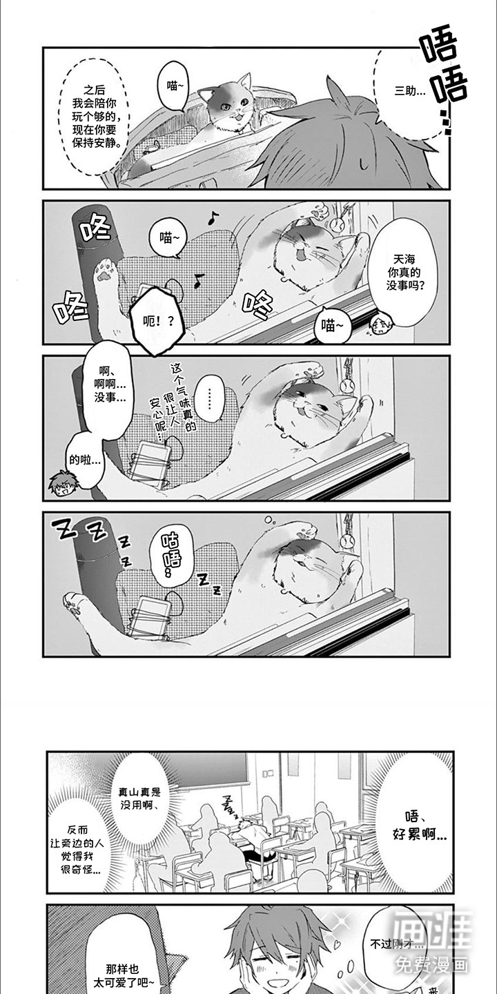 三花猫猫部第5话图