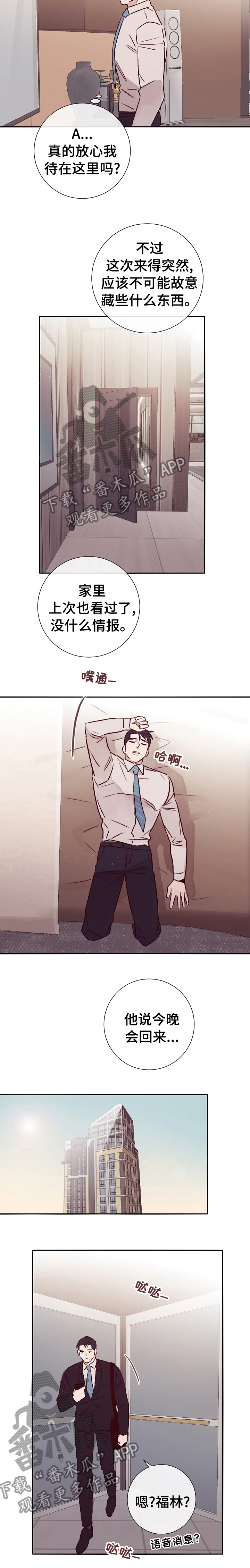 失踪案件第47话图