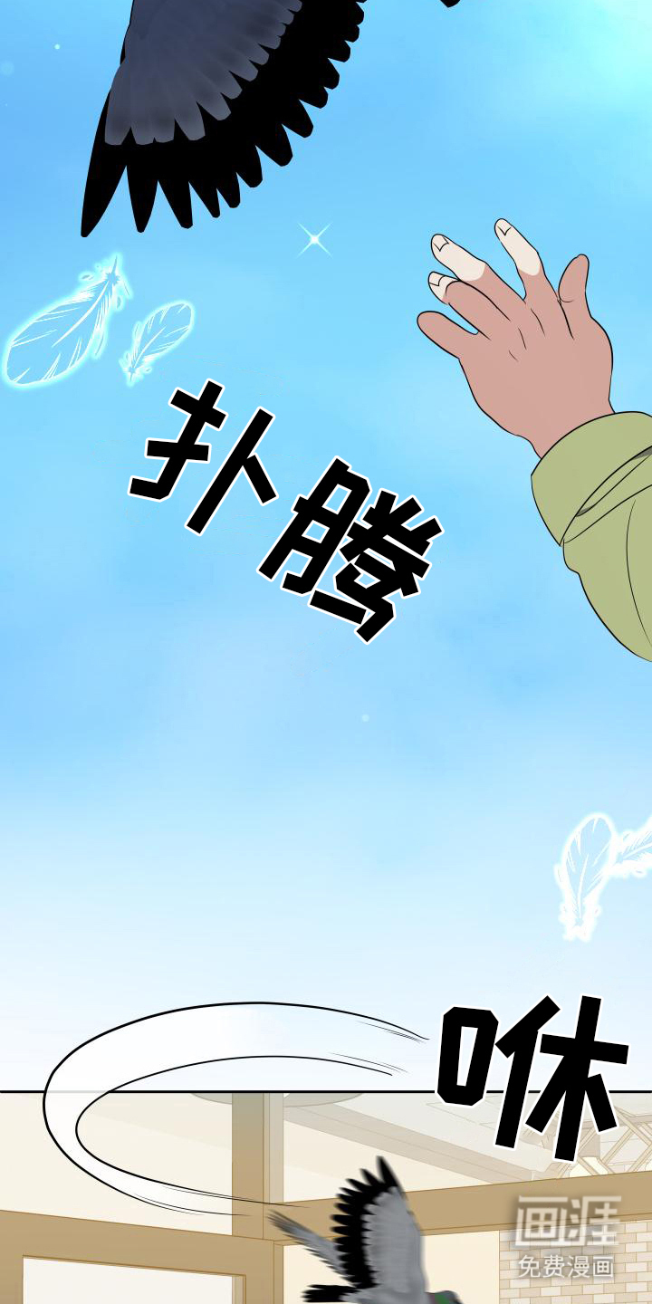 谁是我的男朋友第21话图