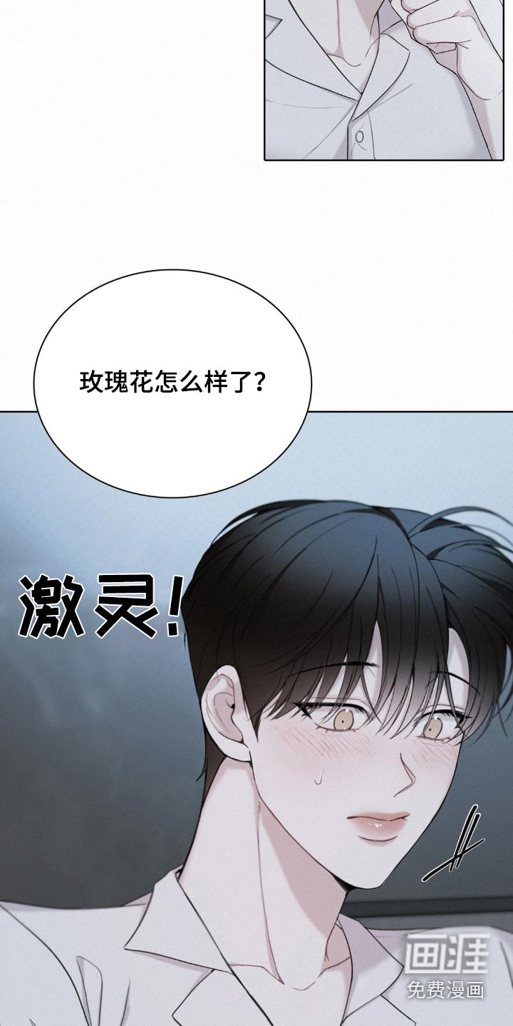 水中的夕阳第18话图