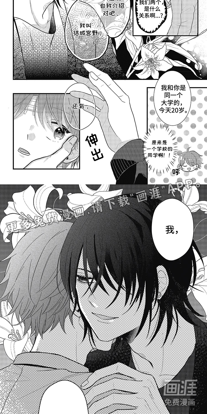 失忆恋人第2话图