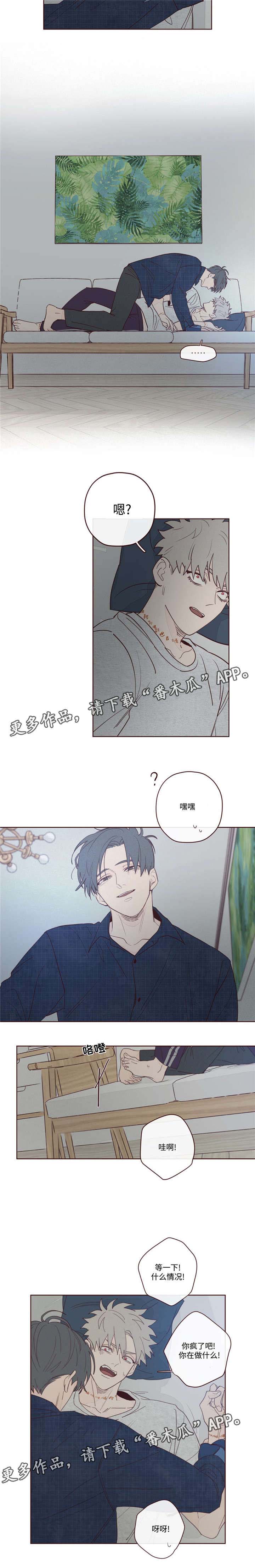 山鬼效灵第11话图