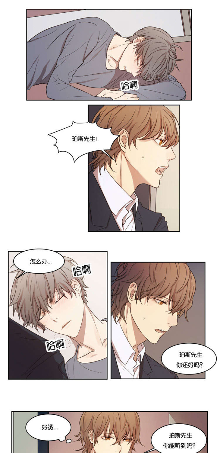 赏罚关系第6话图