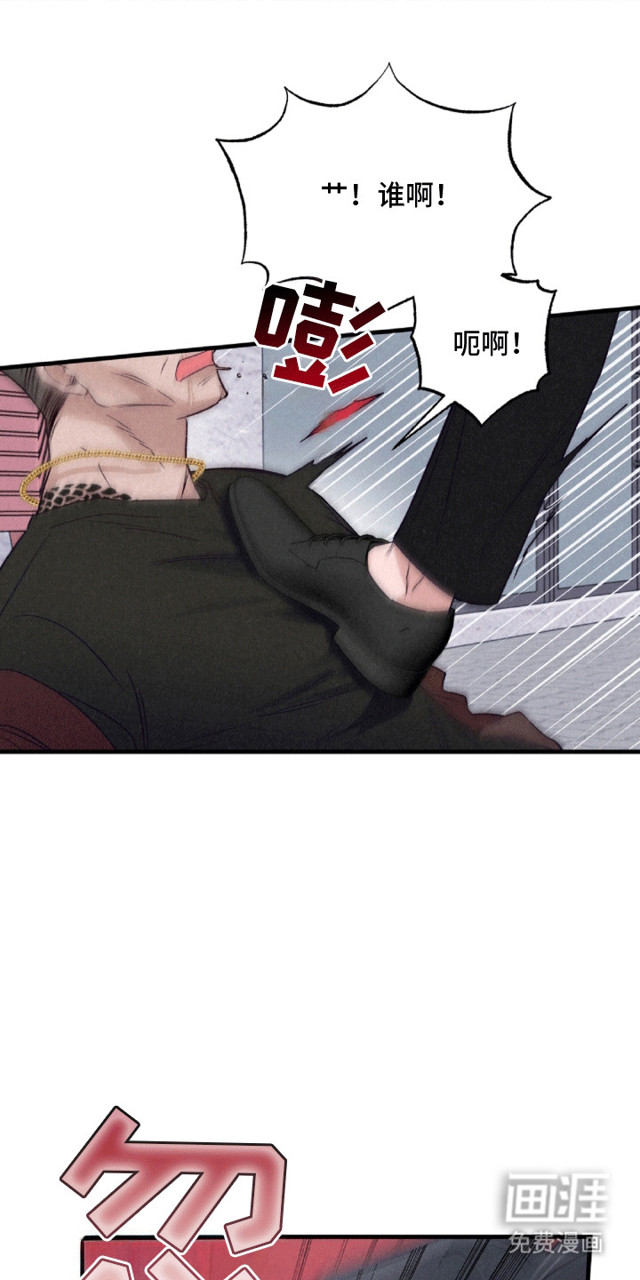 双重浪漫调查第11话图