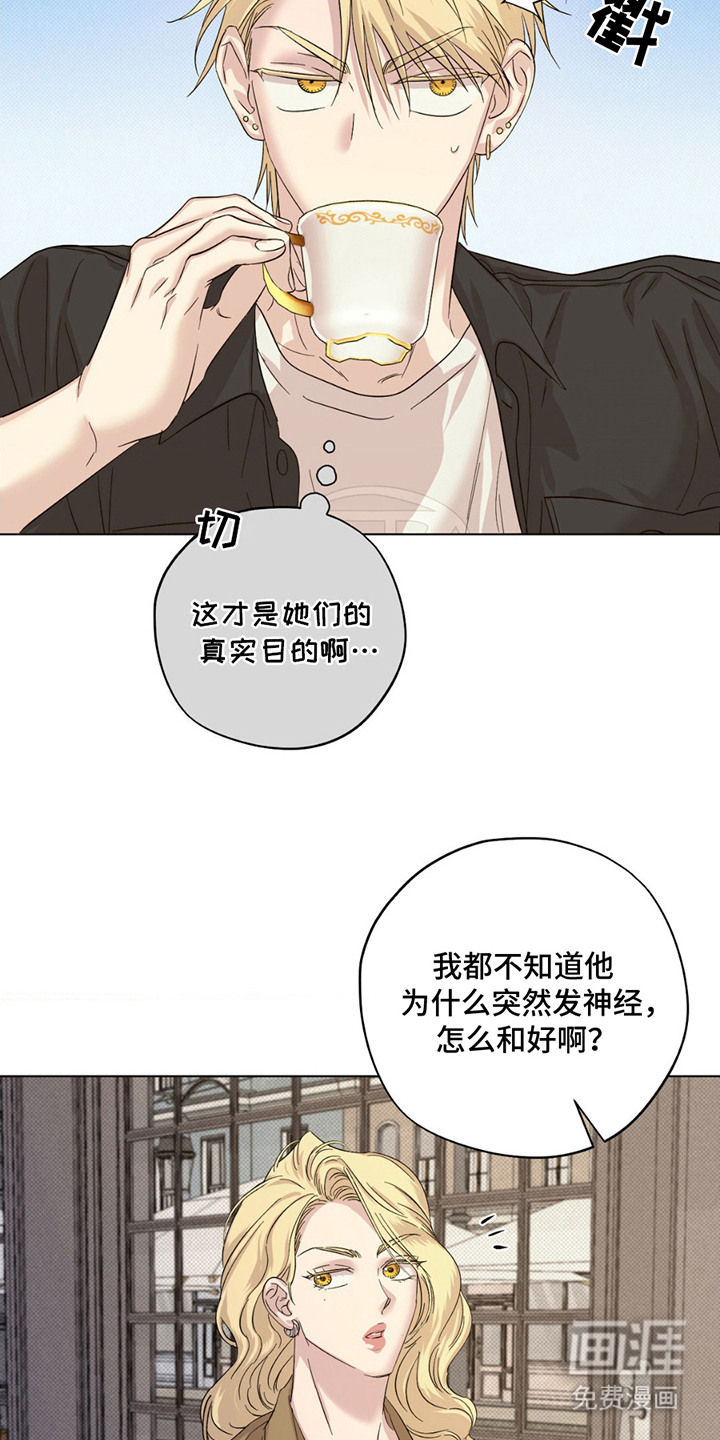 赛道贵公子第13话图