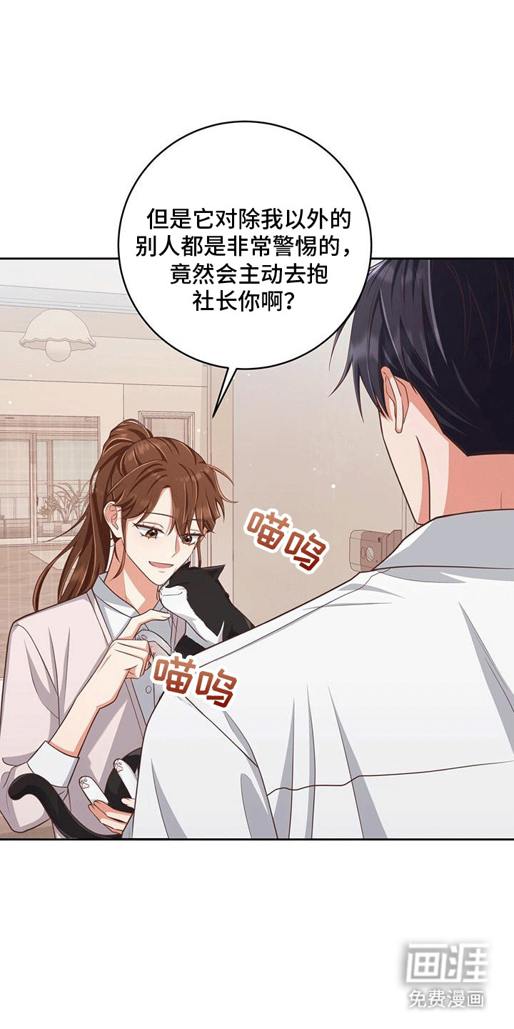 双重拥抱第25话图