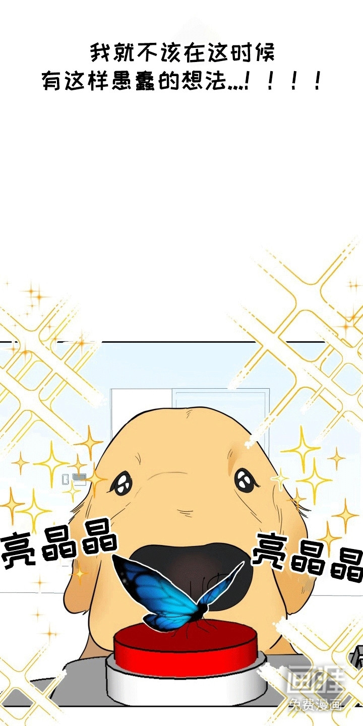 书呆子的双重生活第4话图