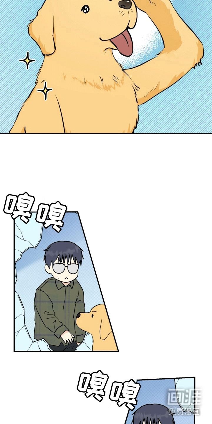 书呆子的双重生活第4话图