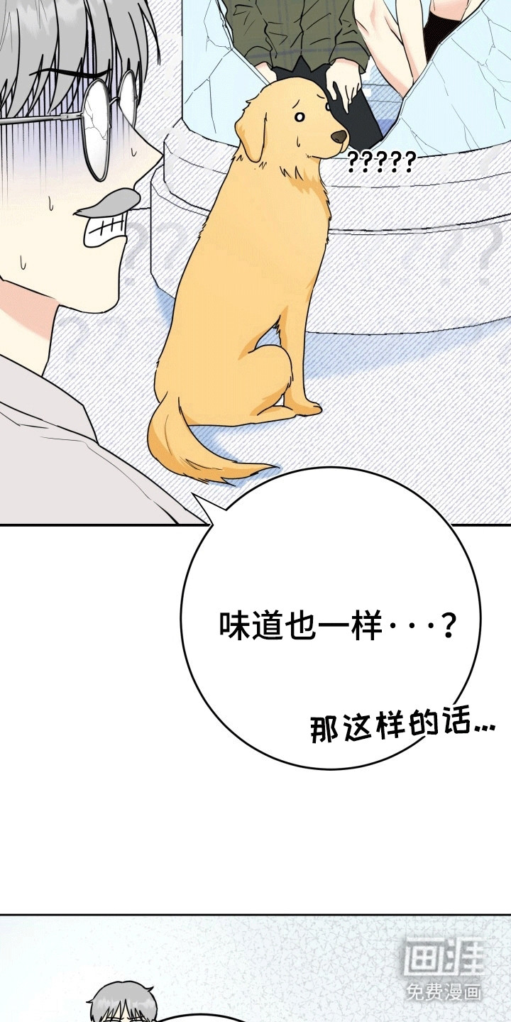 书呆子的双重生活第4话图