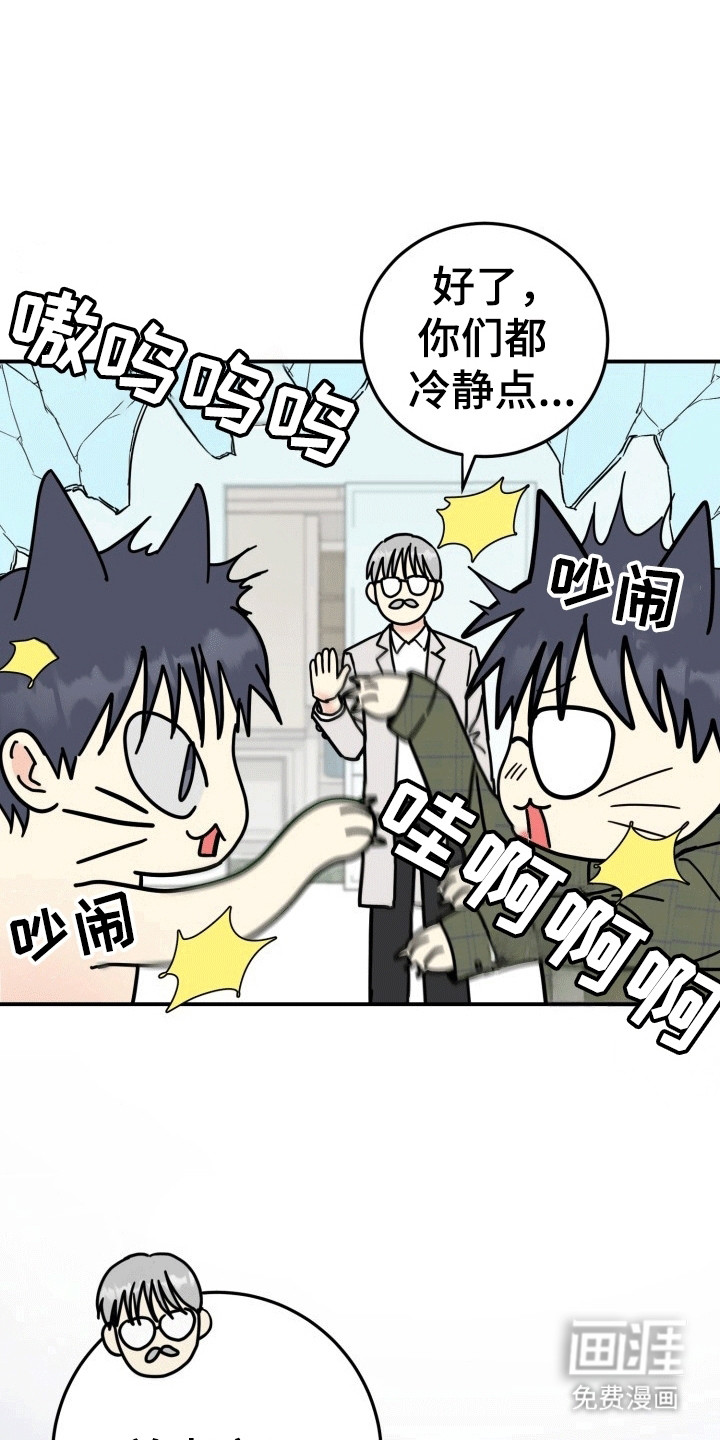 书呆子的双重生活第5话图