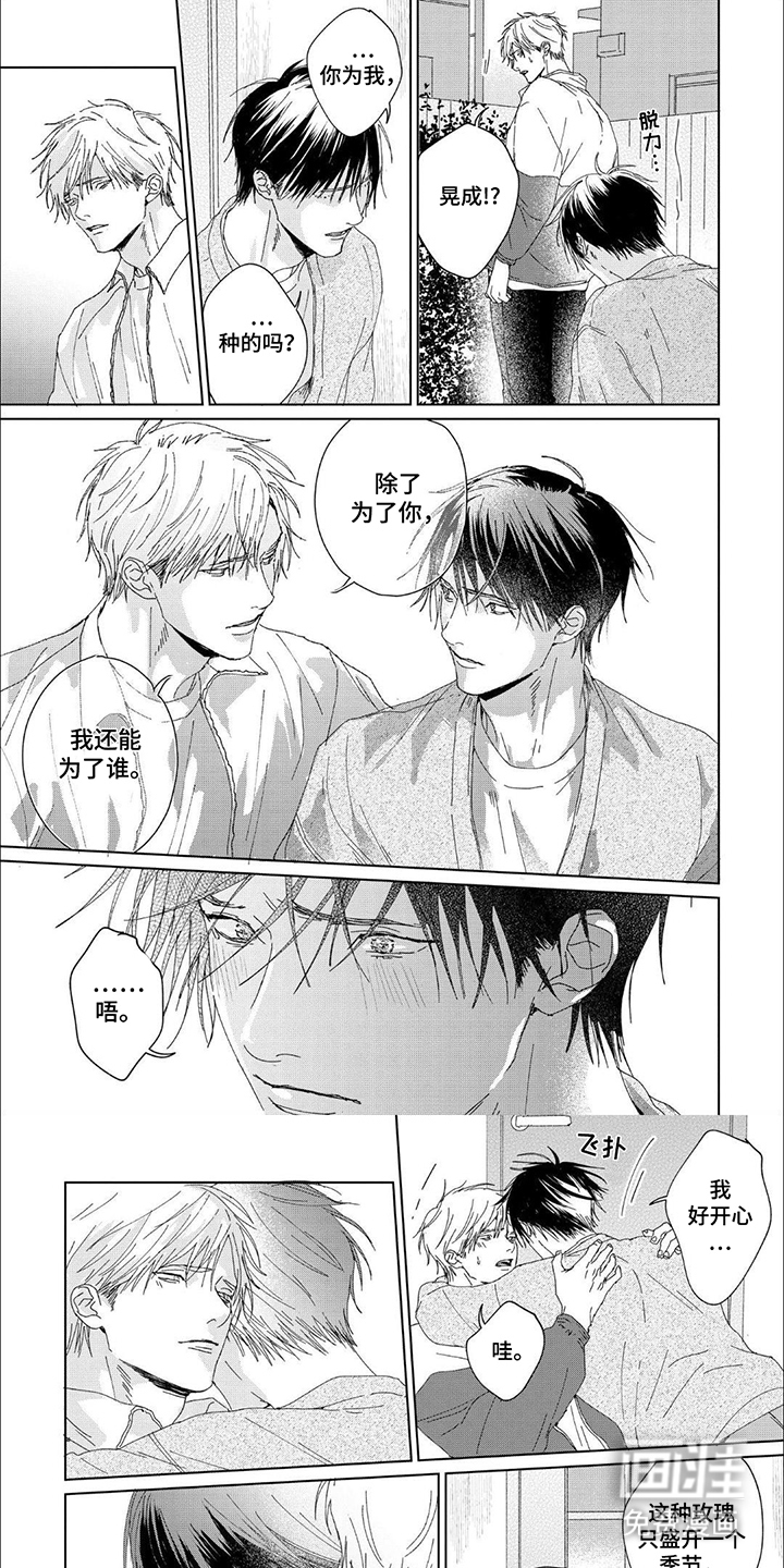 属于他的盛夏花朵第16话图