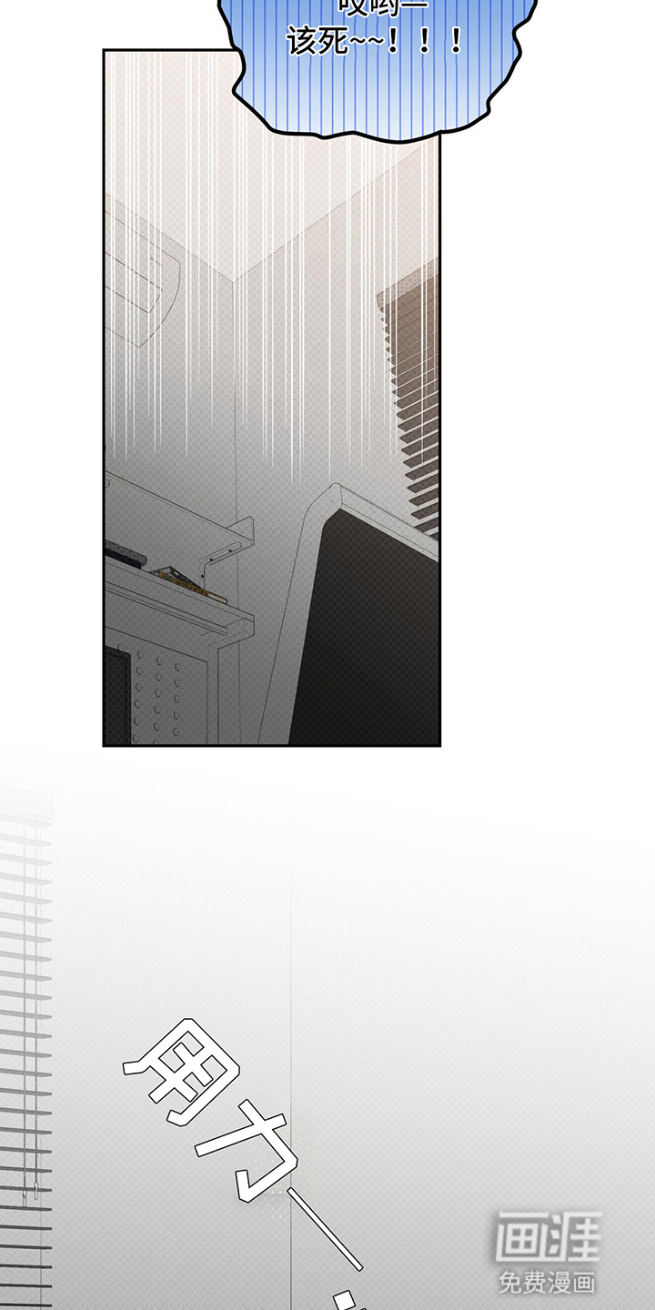 随声而动第11话图