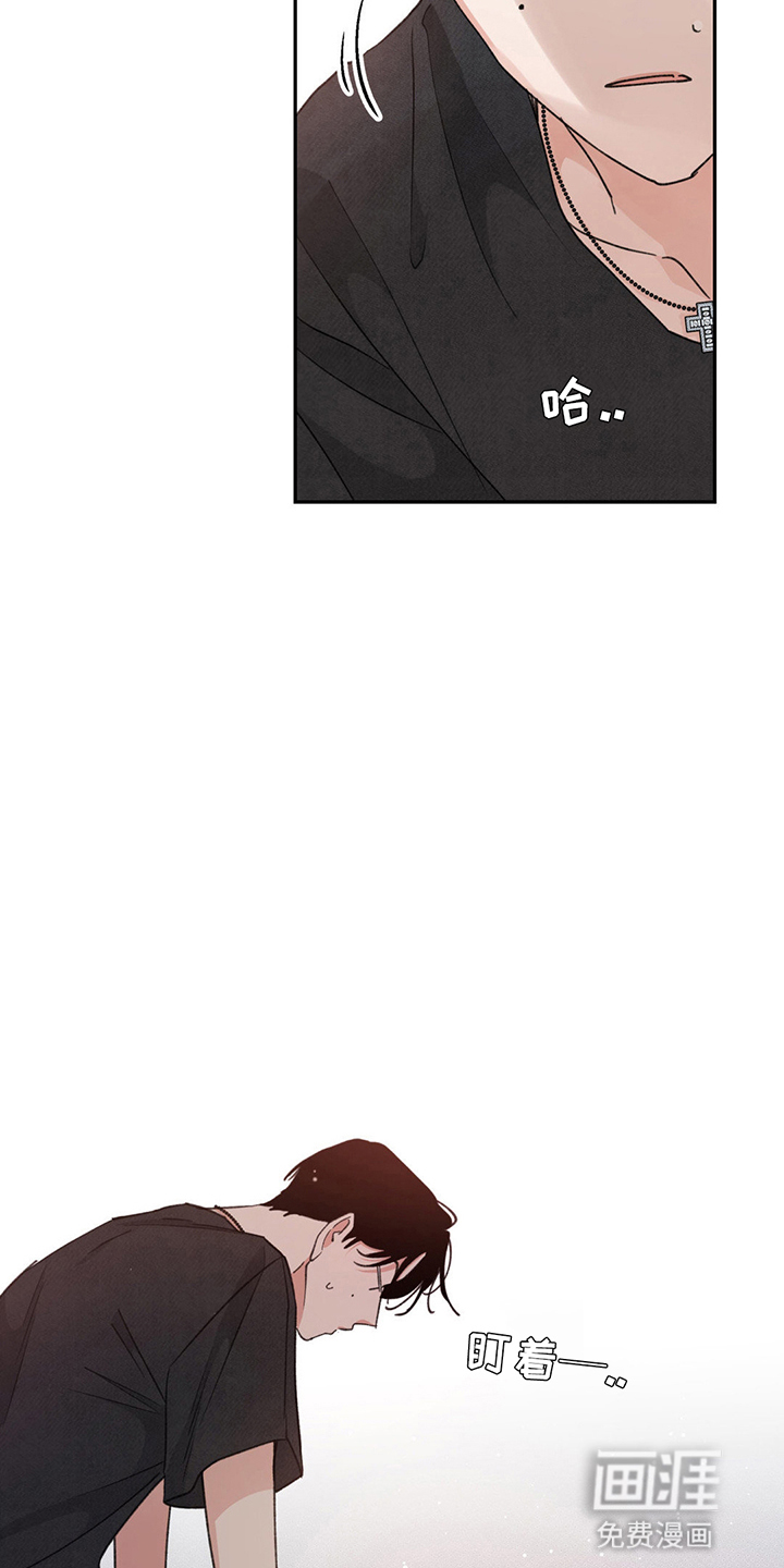 随声而动第11话图