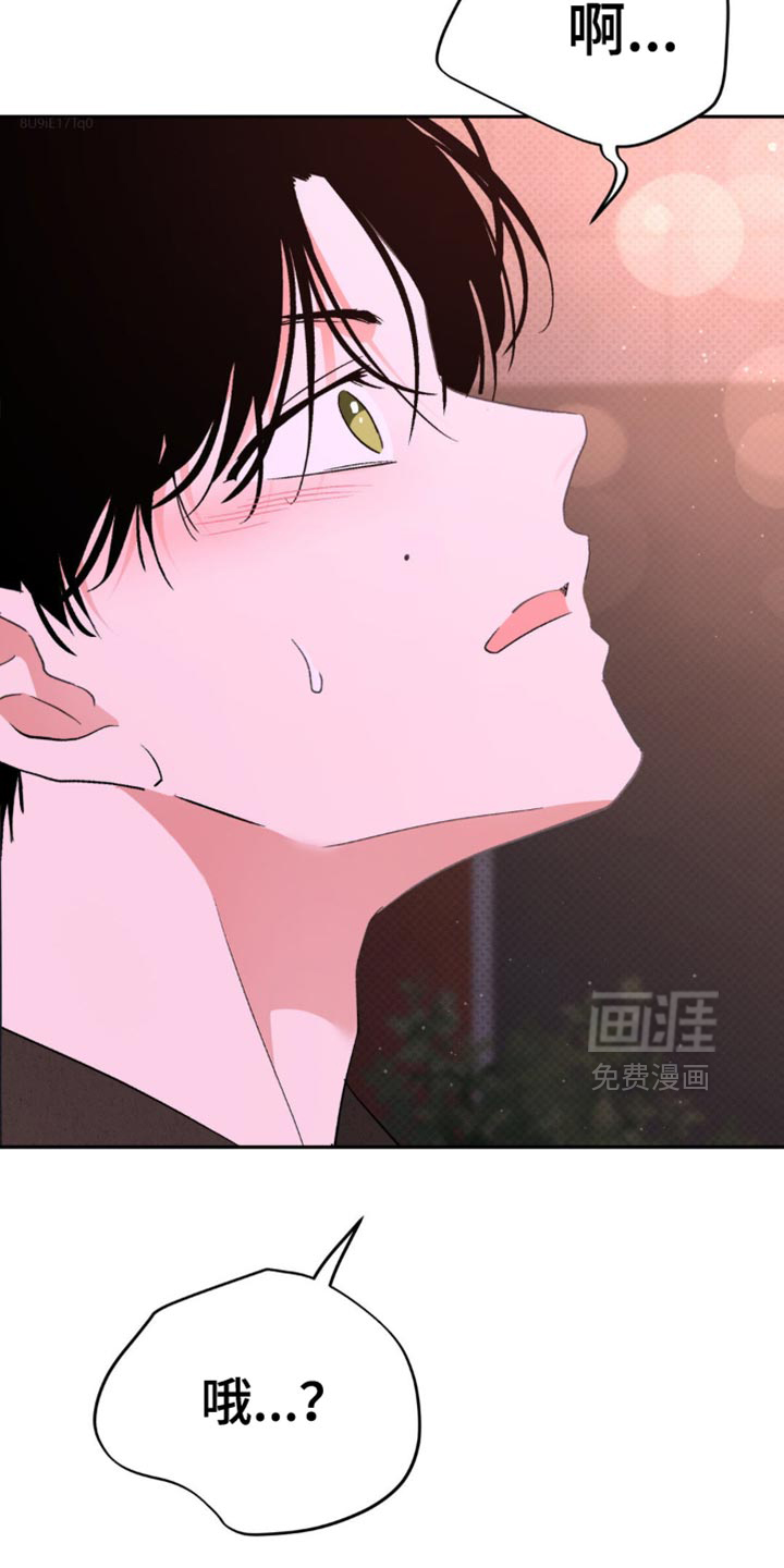 随声而动第18话图