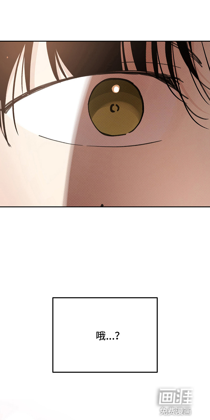 随声而动第7话图