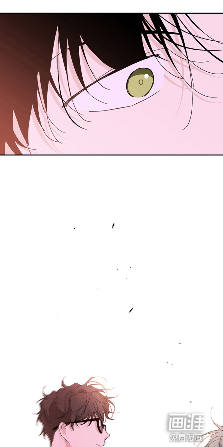 随声而动第9话图