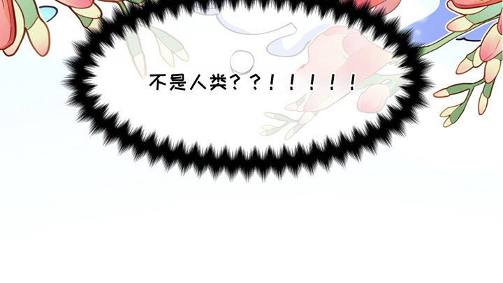 森林澡堂第11话图