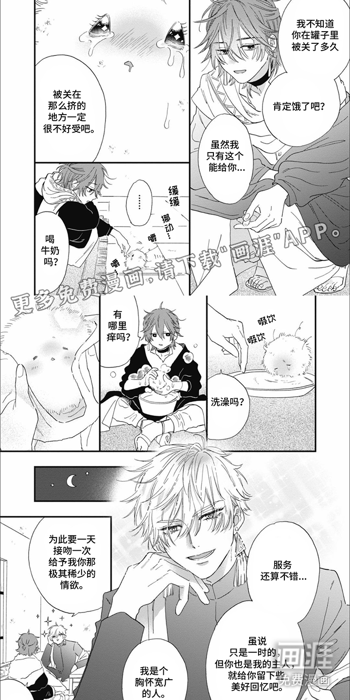 沙漠之花第2话图