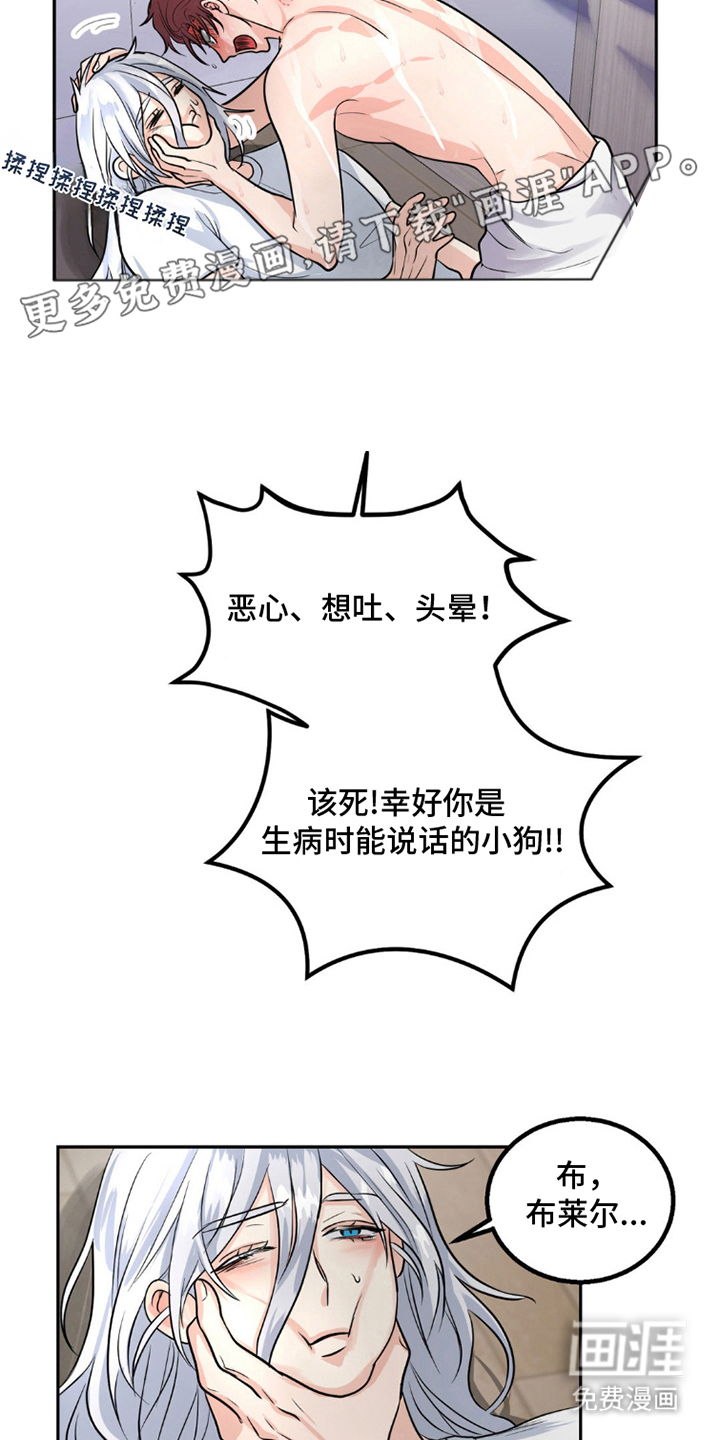 森林狼的诅咒 第11话 第1页