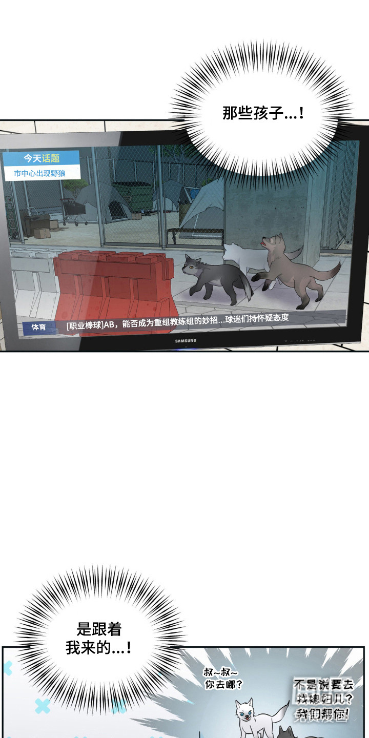 森林狼的诅咒第14话图