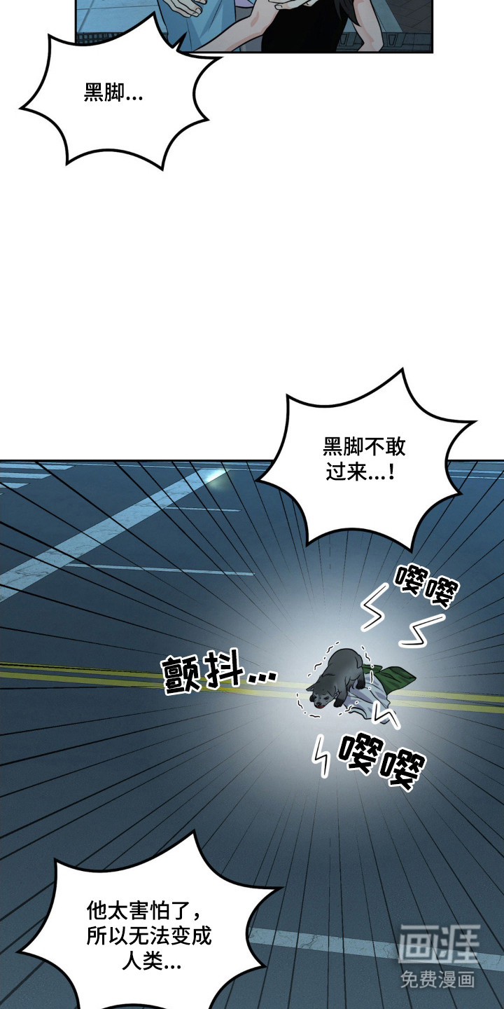 森林狼的诅咒第15话图