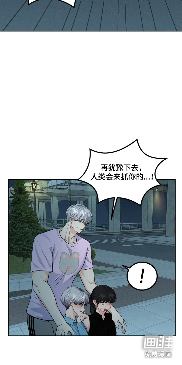 森林狼的诅咒第15话图