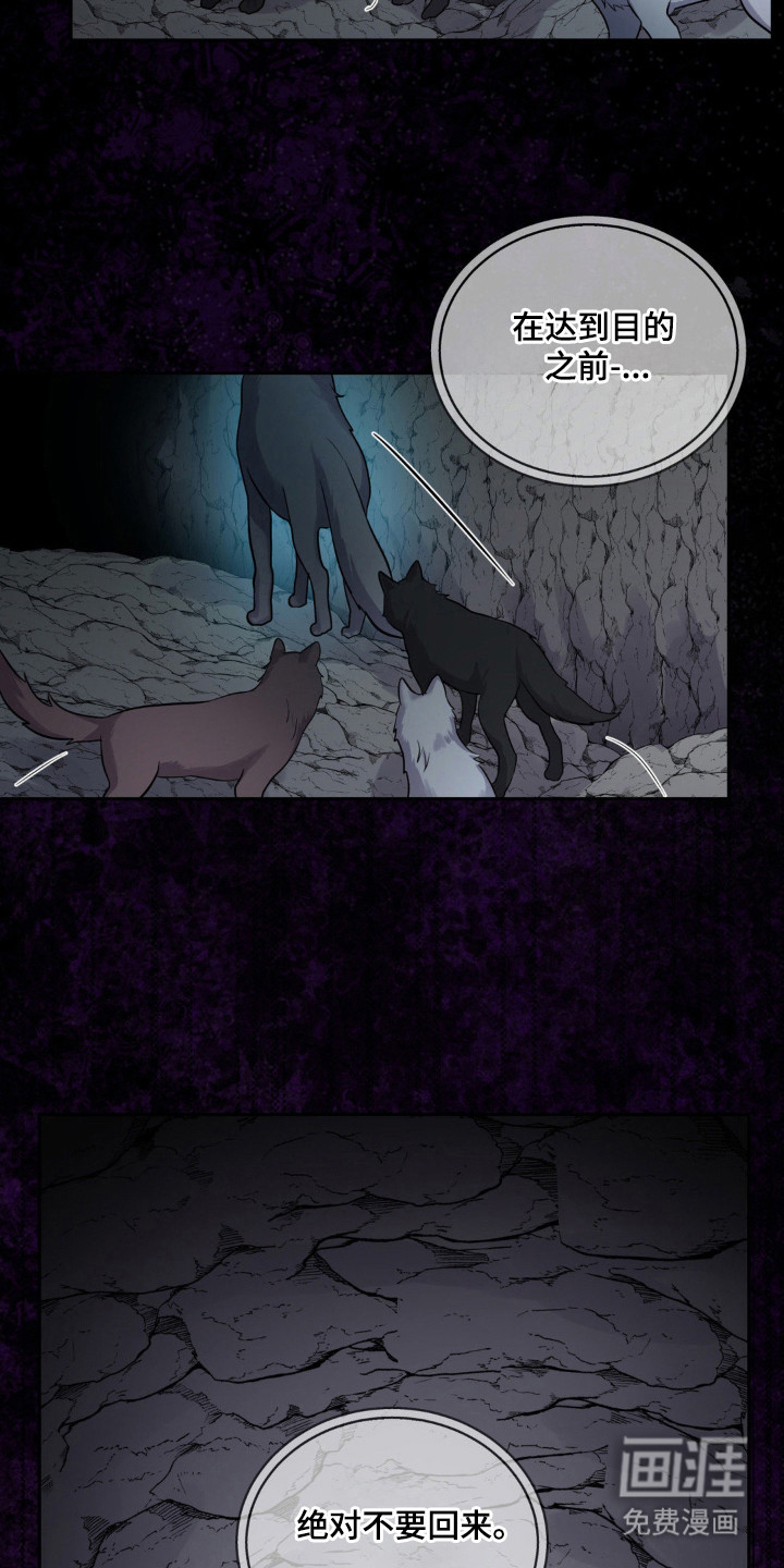 森林狼的诅咒第16话图