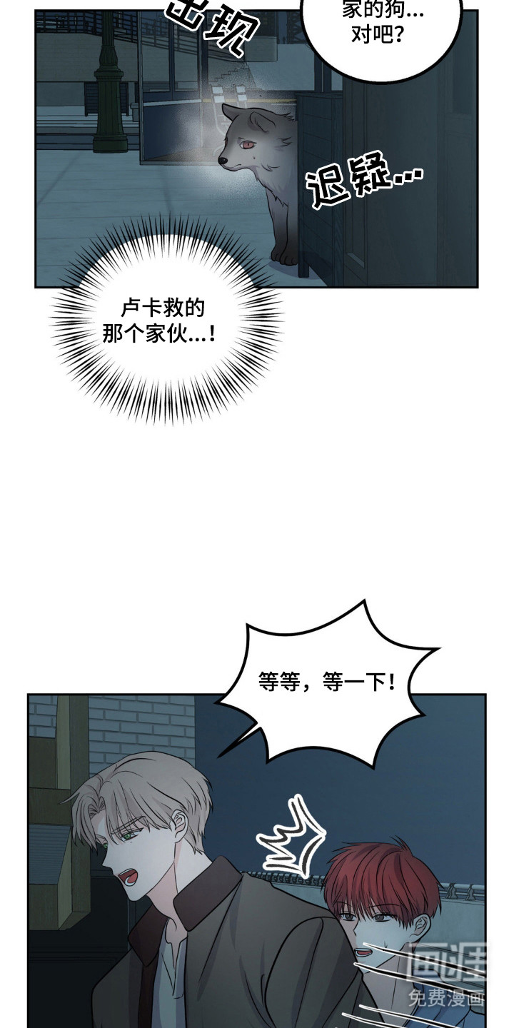 森林狼的诅咒第17话图