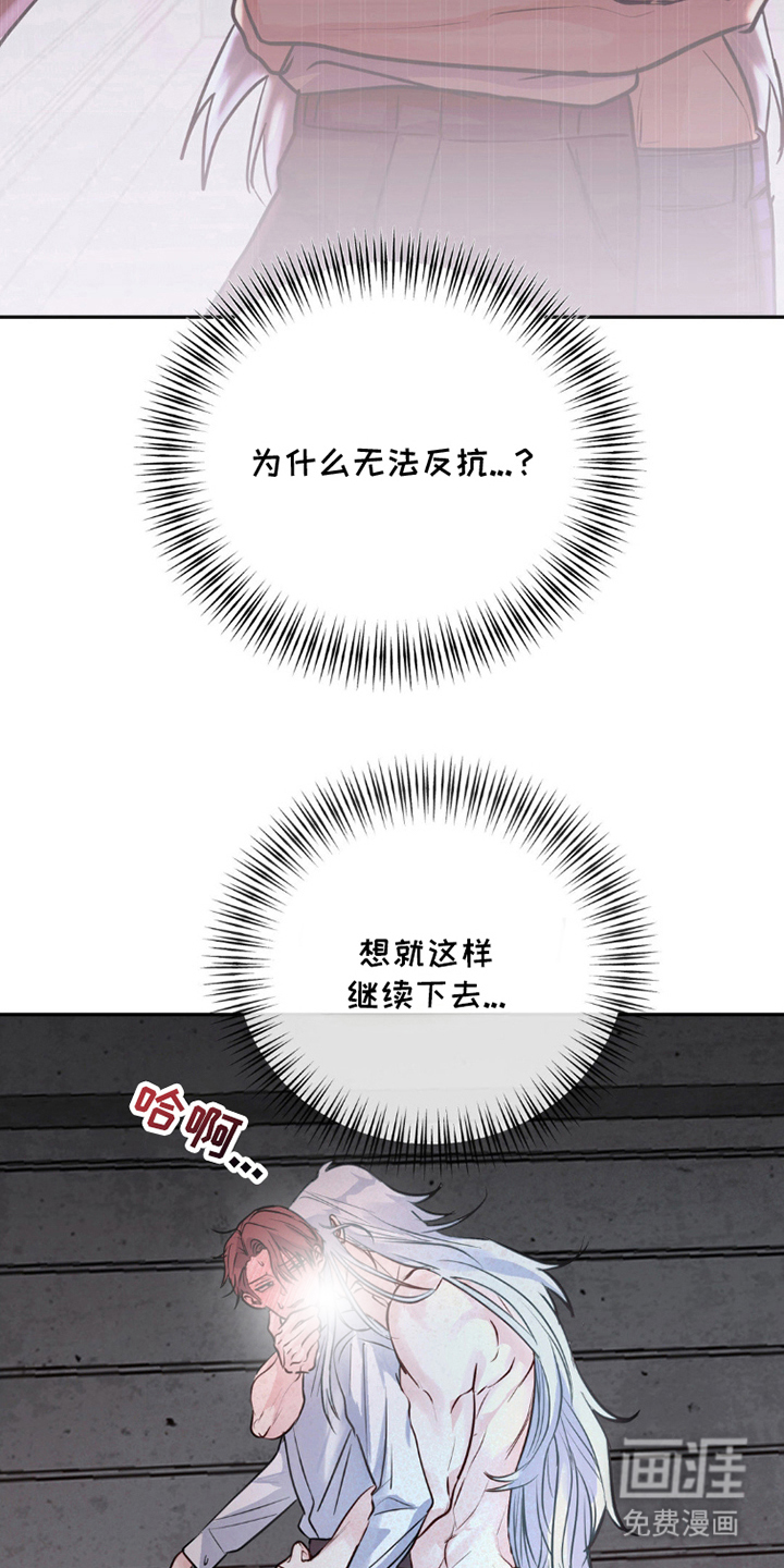 森林狼的诅咒 第3话 第11页