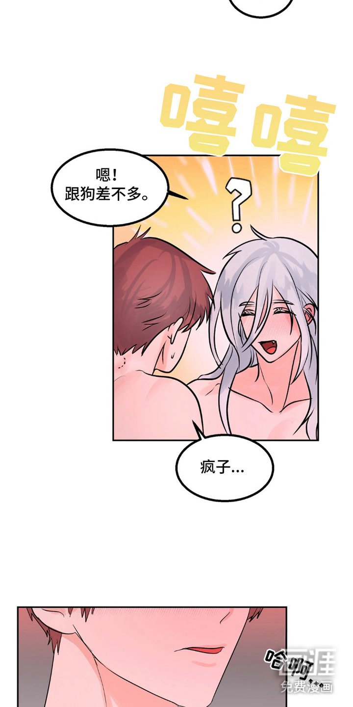 森林狼的诅咒第5话图