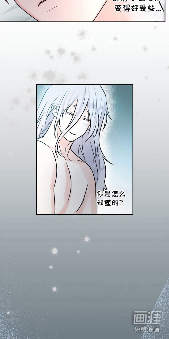 森林狼的诅咒第5话图