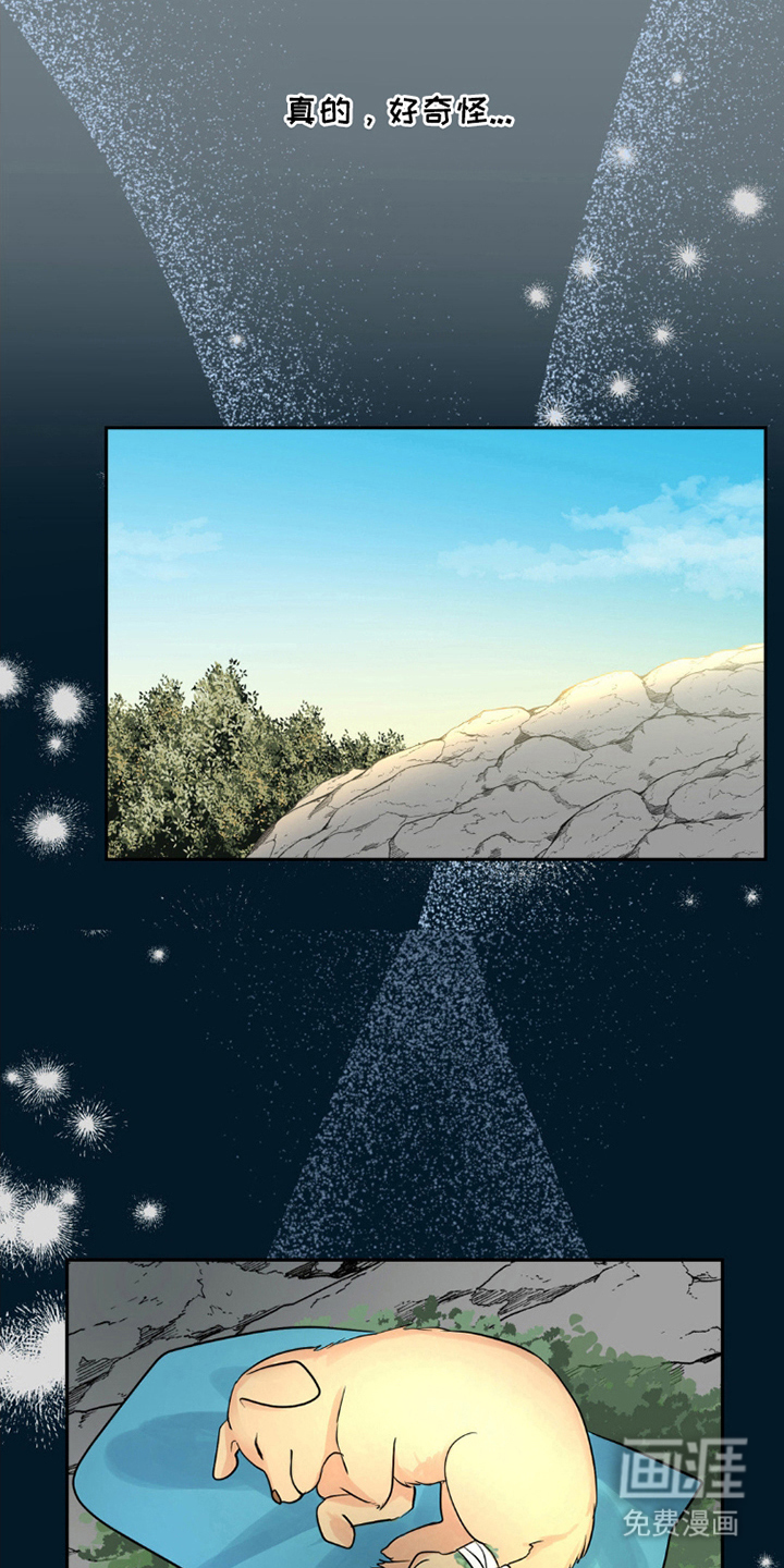 森林狼的诅咒第5话图