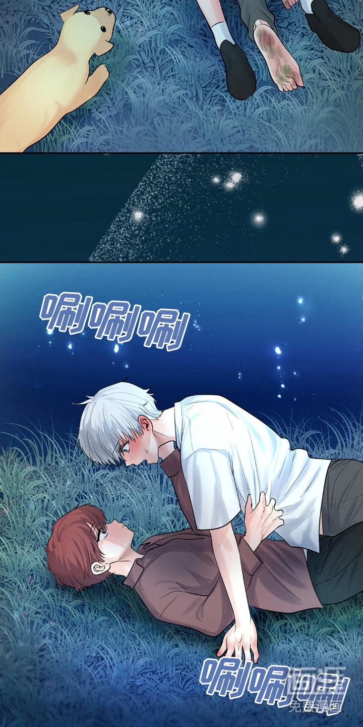 森林狼的诅咒第5话图