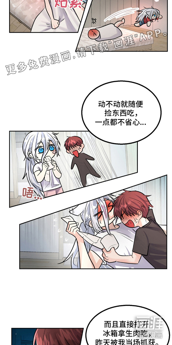 森林狼的诅咒第9话图