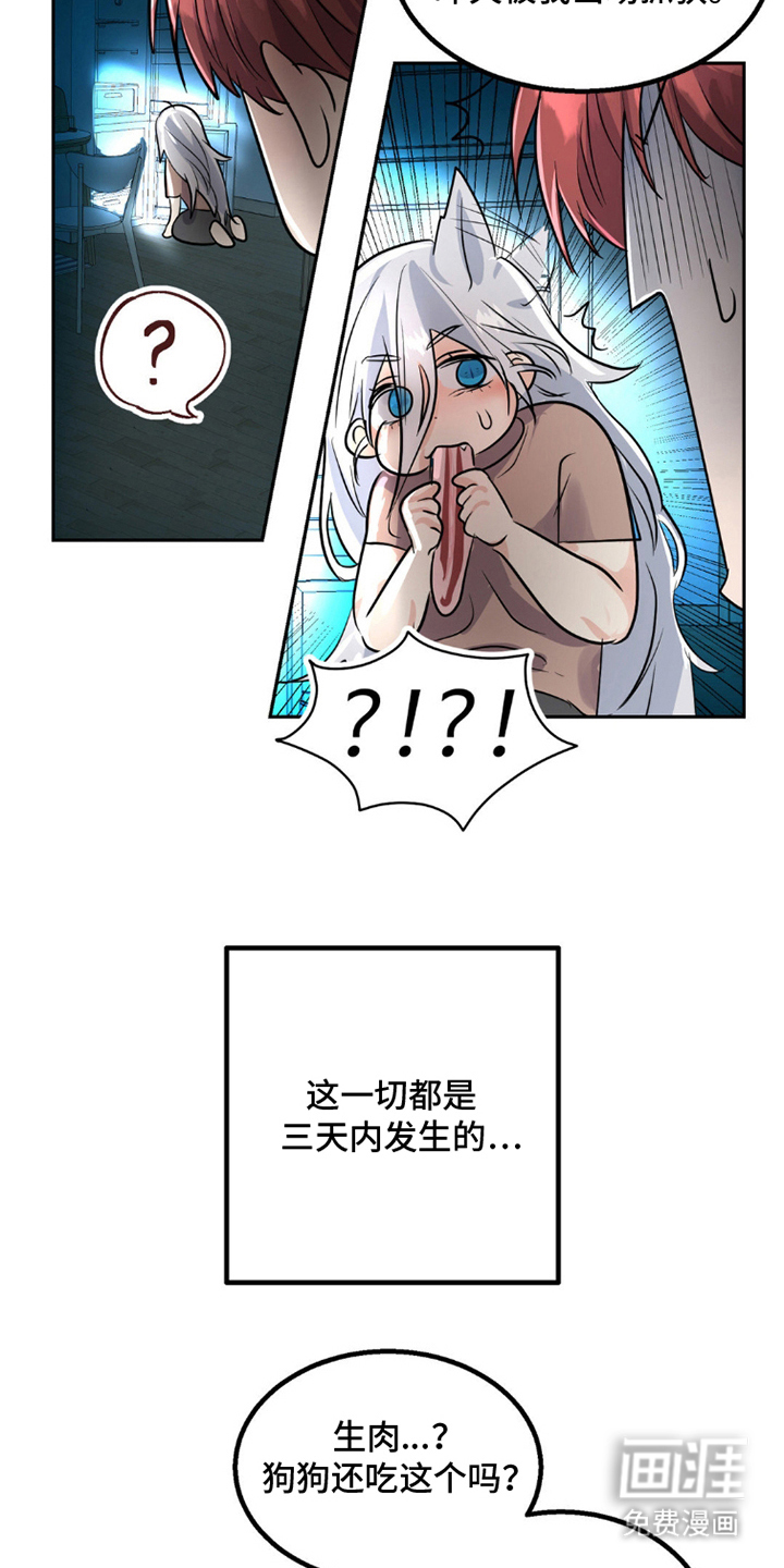 森林狼的诅咒第9话图