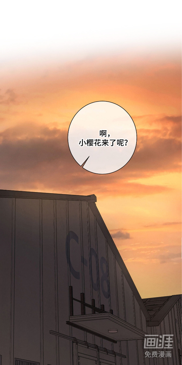 三月的樱花第1话图