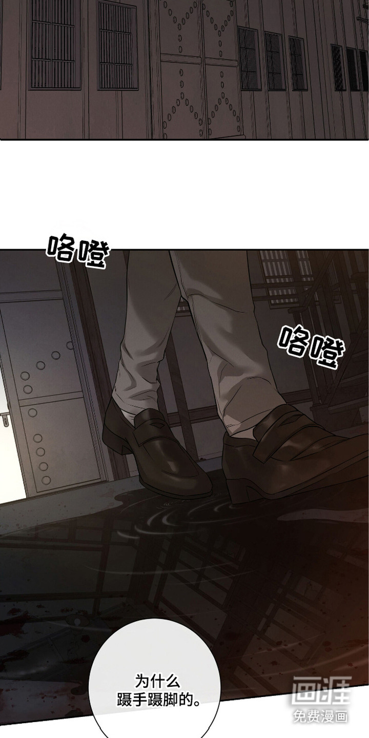 三月的樱花第1话图