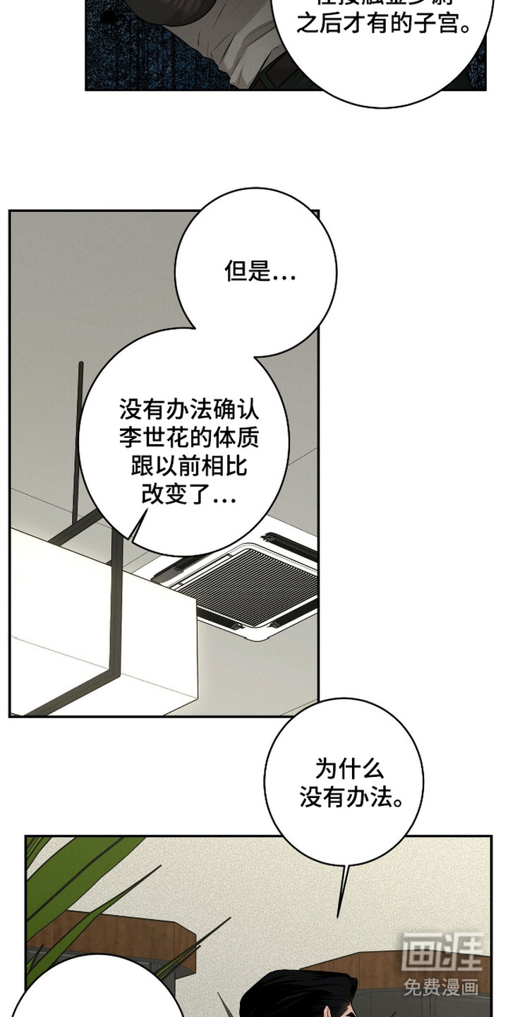 三月的樱花第13话图