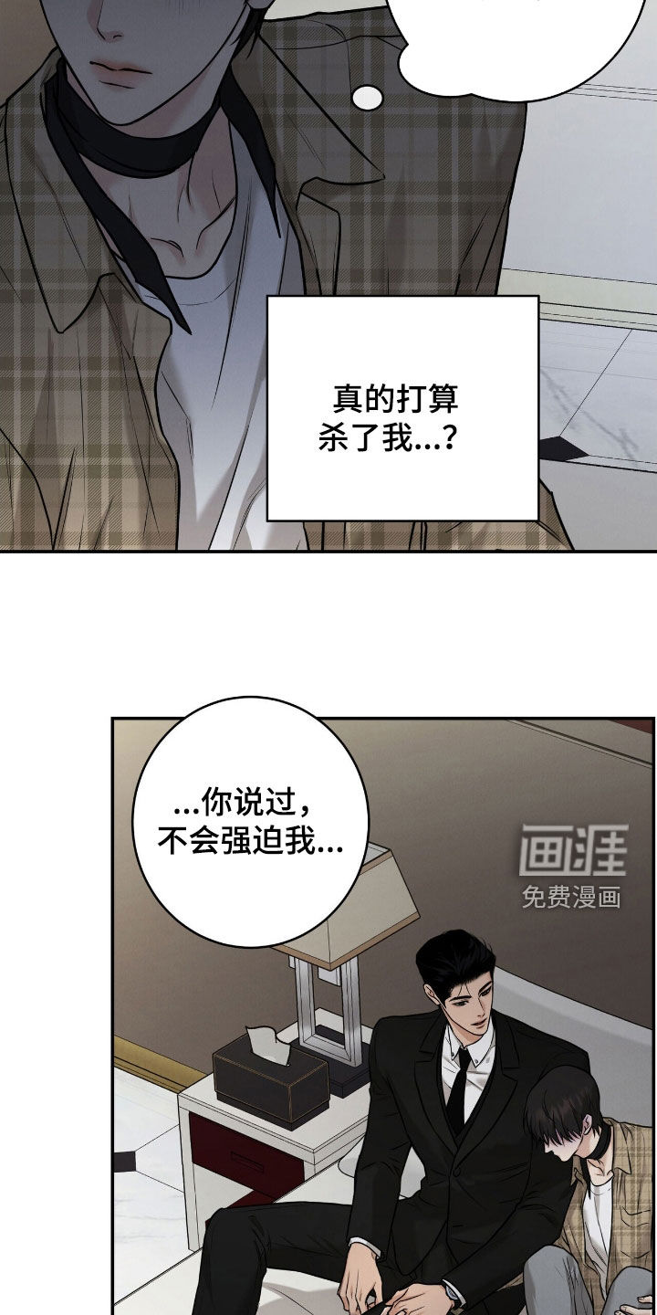 三月的樱花第17话图